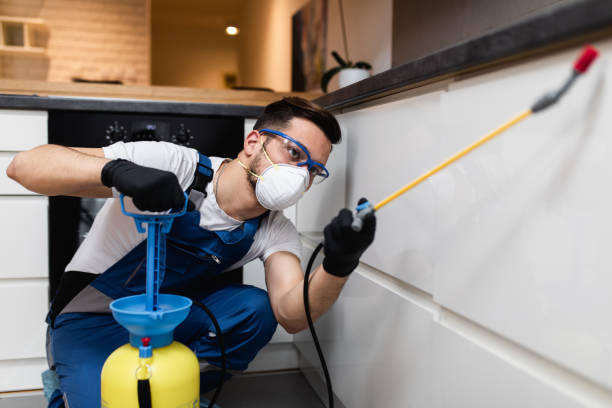 Best Pest Prevention Services  in Waipahu, HI