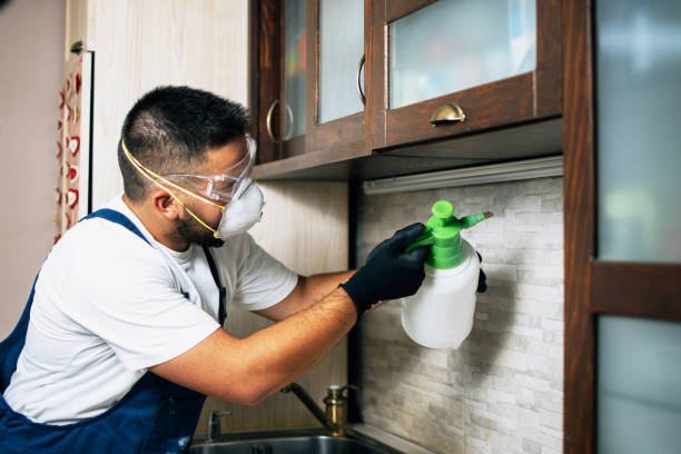 Best Local Pest Control Services  in Waipahu, HI