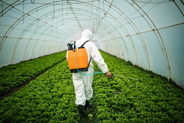 Best Commercial Pest Control Services  in Waipahu, HI