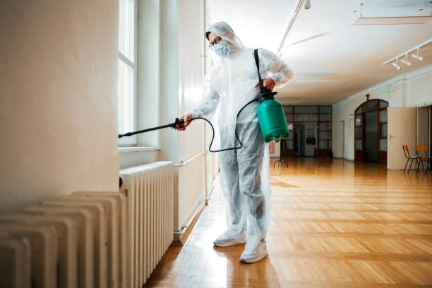 Reliable Waipahu, HI Pest Control Solutions
